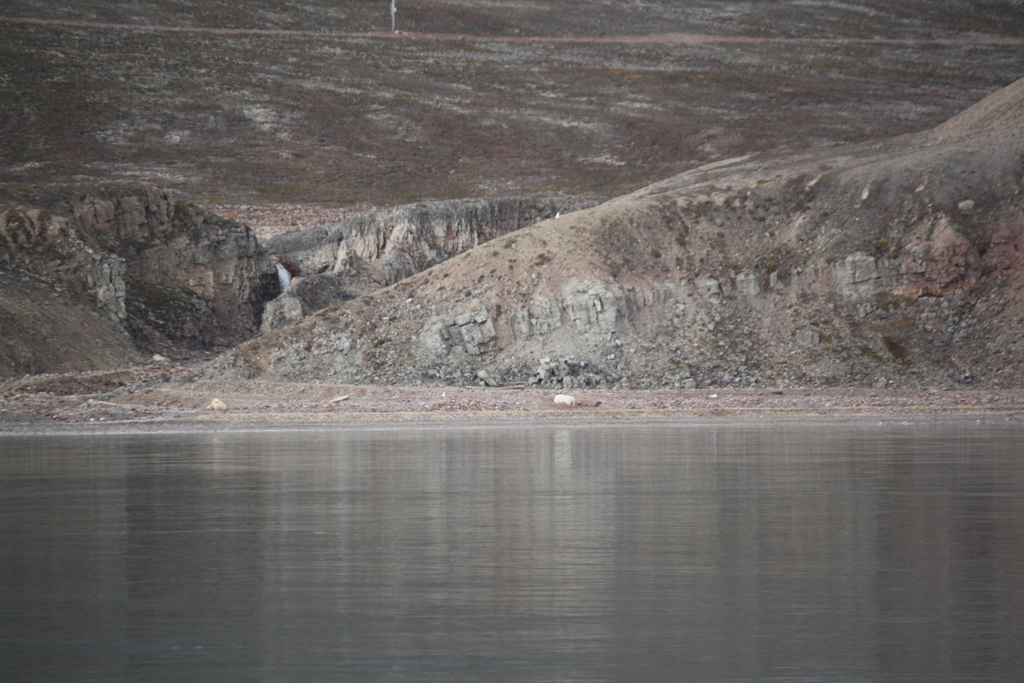 Svalbard, MS Nordstjernen, August, 2015