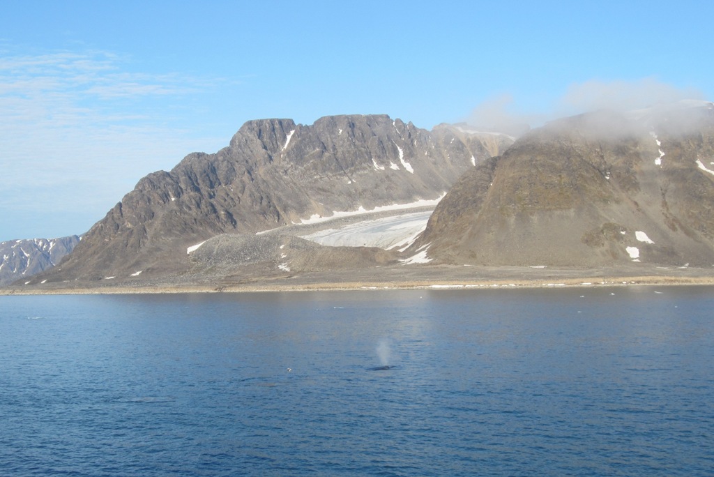 Svalbard, MS Nordstjernen, August, 2015