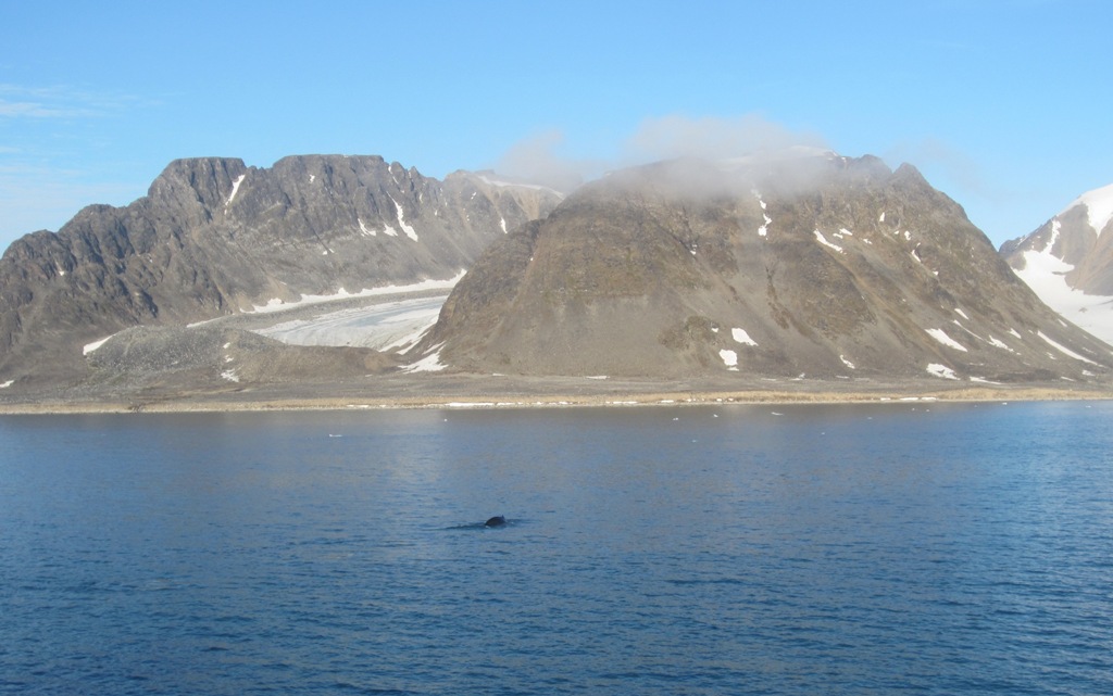 Svalbard, MS Nordstjernen, August, 2015